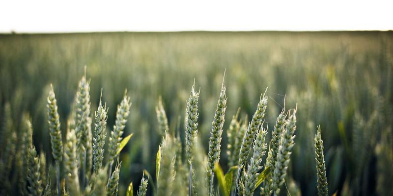 前端工程化深度实践：从模块化到自动化部署的全链路优化指南