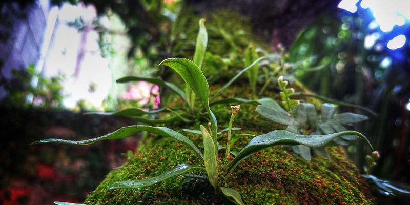 响应式编程:驱动数字化转型的高并发数据流引擎