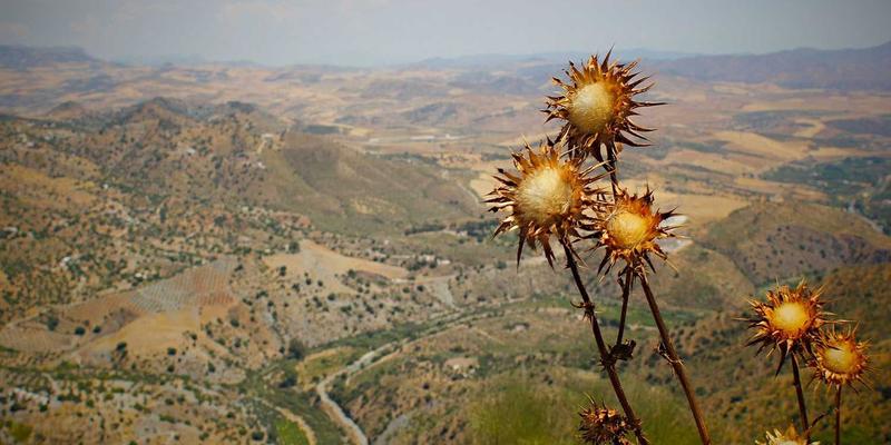 软件重构的艺术：在数字化转型中识别代码坏味道、安全重构与遗留系统现代化